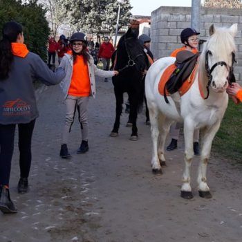 Pony Day Casale 11 febbraio 2018