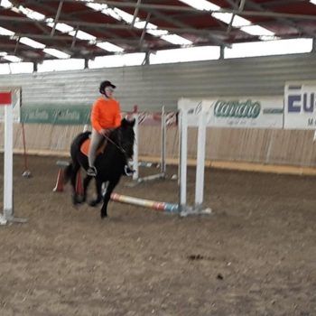 Pony Day Casale 11 febbraio 2018