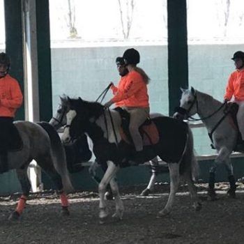 Pony Day Casale 11 febbraio 2018