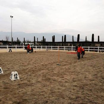 Antica Fiera di Godega 5 marzo 2018 Articolo V Horse Academy Presente