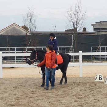 Antica Fiera di Godega 5 marzo 2018 Articolo V Horse Academy Presente