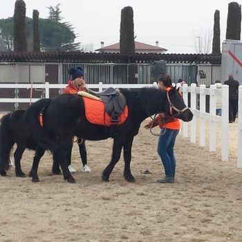 Antica Fiera di Godega 5 marzo 2018 Articolo V Horse Academy Presente