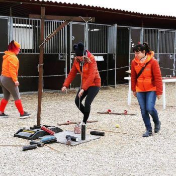 Antica Fiera di Godega 5 marzo 2018 Articolo V Horse Academy Presente