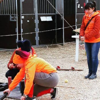 Antica Fiera di Godega 5 marzo 2018 Articolo V Horse Academy Presente