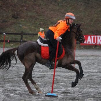 Mounted Games-Peter Dale Biella 18 marzo 2018