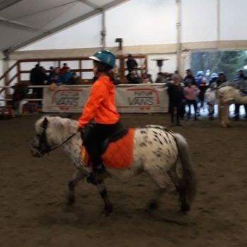 Pony Day Villa Bassi -18 marzo 2018