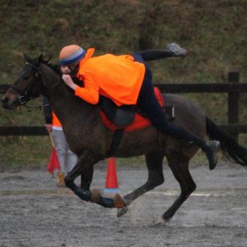 Mounted Games-Peter Dale Biella 18 marzo 2018