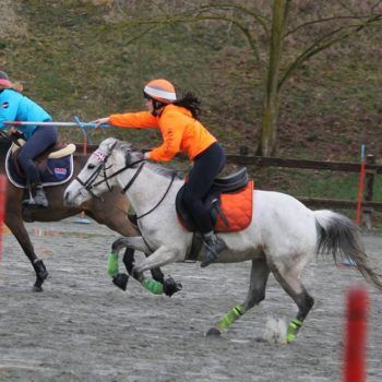 Mounted Games-Peter Dale Biella 18 marzo 2018