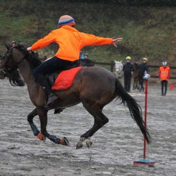 Mounted Games-Peter Dale Biella 18 marzo 2018