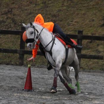 Mounted Games-Peter Dale Biella 18 marzo 2018