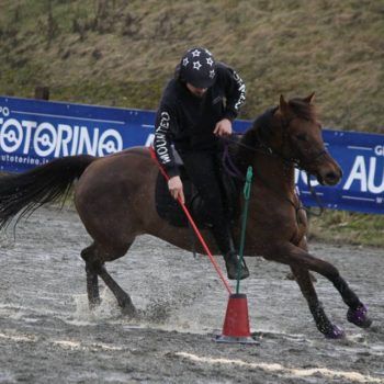 Mounted Games-Peter Dale Biella 18 marzo 2018