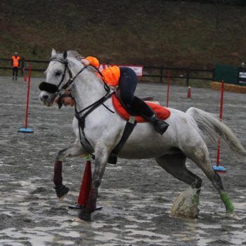Mounted Games-Peter Dale Biella 18 marzo 2018