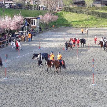 MOUNTED GAMES -II TAPPA TROFEO 4 REGIONI -BIELLA