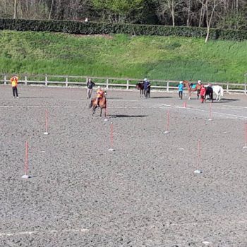 MOUNTED GAMES -II TAPPA TROFEO 4 REGIONI -BIELLA