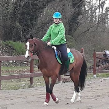 MOUNTED GAMES -II TAPPA TROFEO 4 REGIONI -BIELLA