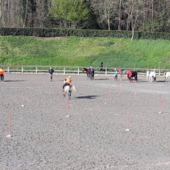 MOUNTED GAMES -II TAPPA TROFEO 4 REGIONI -BIELLA