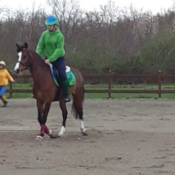 MOUNTED GAMES -II TAPPA TROFEO 4 REGIONI -BIELLA