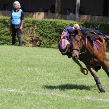 Campionati Italiani Mounted Games Pontedera