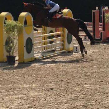 Salto Ostacoli 25/28 maggio 2018 Manerbio