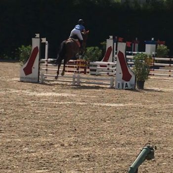 Salto Ostacoli 25/28 maggio 2018 Manerbio