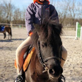 Pony Day -24 febbraio 2019 CEV