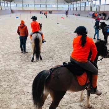 Pony Day -24 febbraio 2019 CEV