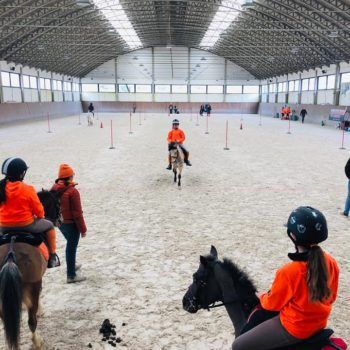 Pony Day -24 febbraio 2019 CEV