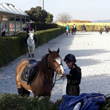Mounted Games I° Tappa 4 Regioni Sommacampagna 8-10 marzo 2019