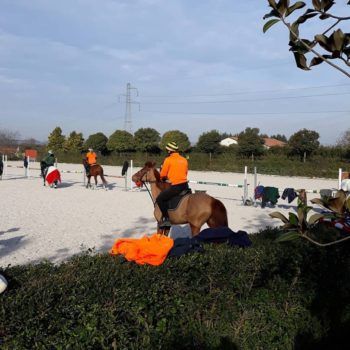 Mounted Games I° Tappa 4 Regioni Sommacampagna 8-10 marzo 2019