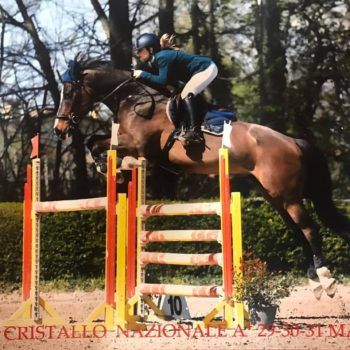 Salto Ostacoli: 29 -30-31 marzo 2019 Centro Ippico il Cristallo