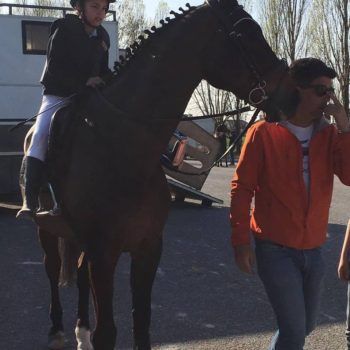 Salto Ostacoli: 29 -30-31 marzo 2019 Centro Ippico il Cristallo