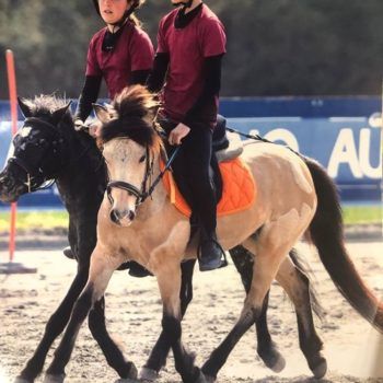 Mounted Games: Trofeo 4 Regioni 2019-II Tappa Biella 5-7 aprile 2019