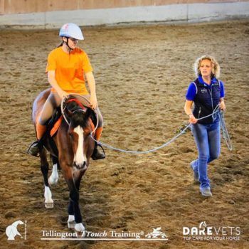 Linda Tellington all'Articolo V Horse Academy 26 aprile 2019