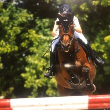 Campionati Regionali Salto Ostacolo 2019