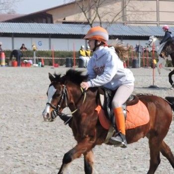 Pony Games -Trofeo 4 Regioni - Sommacampagna 28-02+01-03