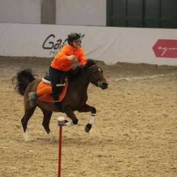 Pony Games - Trofeo 4 Regioni -Vermezzo (MI) 11-13 marzo 2016