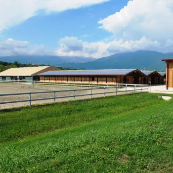 La struttura di Articolo V Horse Academy