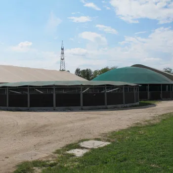 La struttura di Articolo V Horse Academy