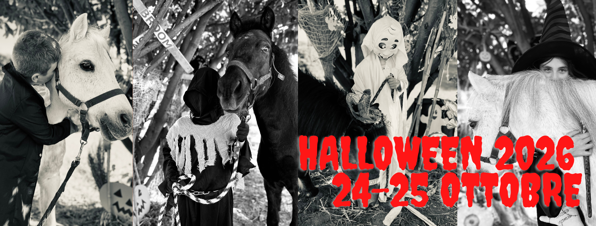 Week End a Tema . Halloween 2026