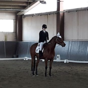 Trofeo Multidisciplinare Padova Dressage 25 marzo 2018