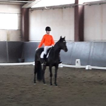 Trofeo Multidisciplinare Padova Dressage 25 marzo 2018