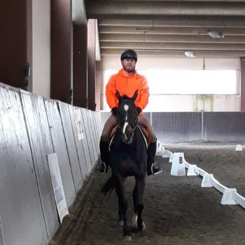 Trofeo Multidisciplinare Padova Dressage 25 marzo 2018