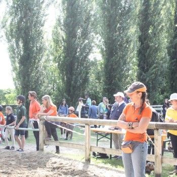 Pony Day Rovigo - 17 maggio 2015