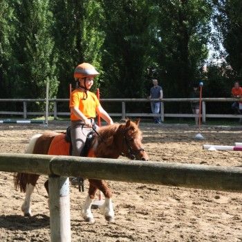 Pony Day Rovigo - 17 maggio 2015