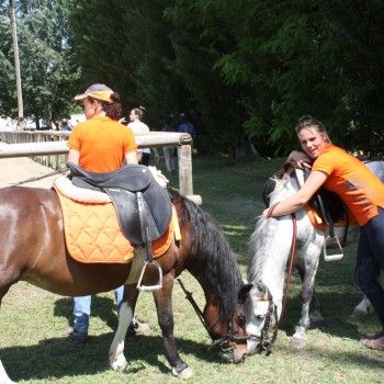 Pony Day Rovigo - 17 maggio 2015