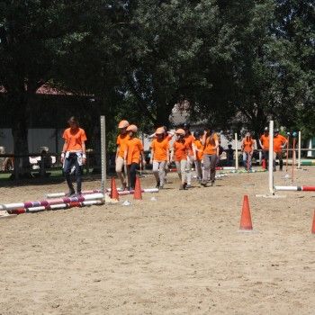 Pony Day Rovigo - 17 maggio 2015
