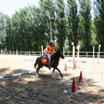 Pony Day Rovigo - 17 maggio 2015