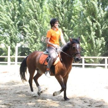 Pony Day Rovigo - 17 maggio 2015