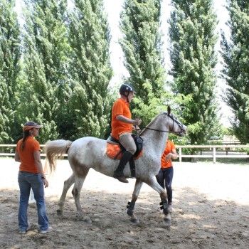 Pony Day Rovigo - 17 maggio 2015