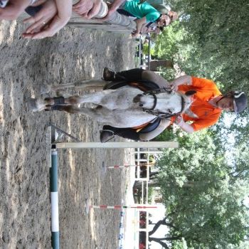 Pony Day Rovigo - 17 maggio 2015